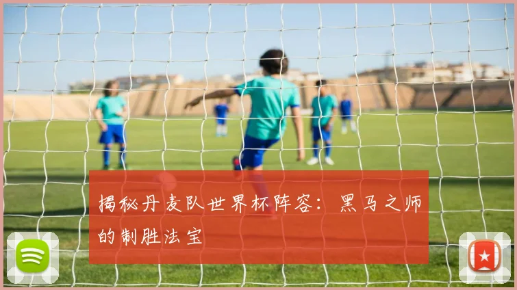 揭秘丹麦队世界杯阵容：黑马之师的制胜法宝